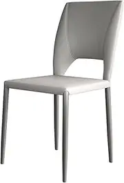 [RJYYYDS] Chairs Grey Dining Chairs Designer Minimalist Lounge Chair Dining Library Clear Salon Metal Furniture