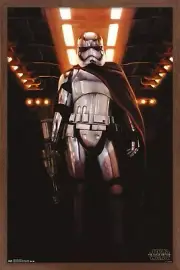 Star Wars The Force Awakens Captain Phasma Poster 22.5x34 NEW