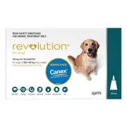Revolution For Large Dogs 20.1 To 40Kg (Teal) 6 Pack