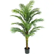 Glamorous Fusion Phoenix Palm Tree Artificial Fake Plant Decorative 183cm In Pot - Green