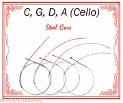 Paititi String Steel Core Beginner Level String Set 1/4 Size Cello High Quality