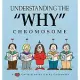 Understanding the ”Why” Chromosome: A Cathy Collection