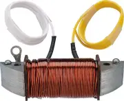 Replacement Lighting Coil 6V For TT 500 XT 500 29-132