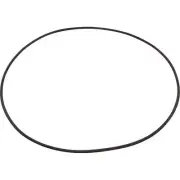 Astral Gasket Collar 722R2550040 Astralpool