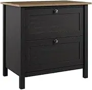 Bush Furniture Mayfield 2 Drawer Lateral File Cabinet in Vintage Black and Reclaimed Pine | Storage for Home Office Workspace