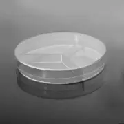 100 x 15 mm Petri Dish, Y-Plate (3-section), Stackable 20/pk Home School science