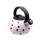 Whistling kettle flute kettle kettle camping tea kettle induction 3 L color i...
