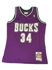 Mitchell & Ness Ray Allen Milwaukee Bucks HWC Swingman Jersey Purple Size Medium