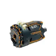 Trinity PHENOM "X-Factor" 6.0 Turn Mod Modified Brushless Motor DPS1116