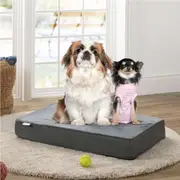 Zinus Pet Bed Green Tea Memory Foam Pillow -Medium