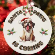 Funny Santa Paws St. Bernard Dog Lover Christmas Ornament Gift Decor Hanging