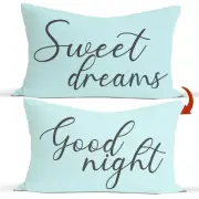 Light Blue ReversibleThrow Pillow Covers for Bed, Sweet Dreams Good Night 12
