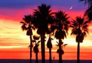 Microfiber Cleaning Cloth. Phone+glasses+camera+screens. Hi-Look. Sunset.