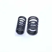 K157FMI Valve Springs for Sinnis Apache SMR 125 17-20