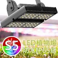 在飛比找PChome商店街優惠-防水型LED植物燈【S5光譜】台灣製㊣VITALUX【＊全光