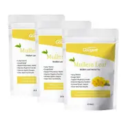 Mullein Leaf Tea Bags Herbal Lung Cleansing Breathing Cough Relieve Tea 20 BAGS