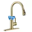 Arofa Brushed Gold Kitchen Faucet with Pull Down Sprayer, Stainless Steel Sin...