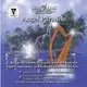 [心靈之音] 天使樂園Angel Paradise-美國孟羅Hemi-Sync雙腦同步CD進口原裝新品
