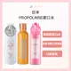 日本 Propolinse 潔白漱口水 600ml 日本漱口水 蜂膠漱口水 去污潔白 *La Bella 髮品美妝*｜滿額現66現折$30