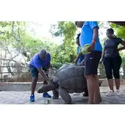 Save 20.01%! Private Snorkeling Adventure to Changu Island Tanzania