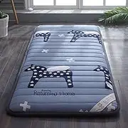 Mattress Single Double Japanese Futon Floor Mattress Foldable Thickening Mattress Tatami Mattress LLCDZR(D,80 * 190cm)