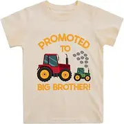 [Geoyune] Big Brother T Shirt for Baby Boys Cotton T-Shirt Short Sleeve Tops Toddler Baby Announcement Tees Outfits 1-7 Years