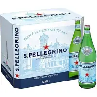 在飛比找蝦皮購物優惠-免運🚚S.Pellegrino 聖沛黎洛 氣泡礦泉水(100