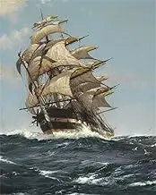 Meecaa Paint by Numbers Sailing Sea Kit for Adults Beginner DIY Oil Painting 16x20 inch (Sailboat, No Frame)