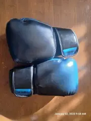 Liberlupus Dark Blue Boxing Gloves