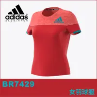 在飛比找蝦皮購物優惠-【晨興】愛迪達 adidas 女款羽球服 BR7429 運動