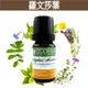 《歐丹尼》【10ml-50ml 羅文莎葉純精油】優質單方純精油系列Ravensara