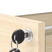 Chrome Plated Garage Door Cabinet Locks with Keys Ensuring Top level Security