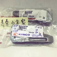 在飛比找蝦皮購物優惠-《少年家》KYMCO 光陽GP G4 V2 VP Kiwi 