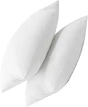 SWOOMEY Couch Pillow Inserts 2pcs Square Pillow Inserts for Sofa Soft and Fluffy Filler for Home Decor