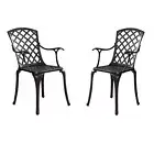 Set of 2 Outdoor Dining Set,Outdoor Patio Dining Chairs,Cast Aluminum Chairs