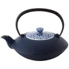 Japanese Cast Iron Sakura Teapot 600ml Kyo Ware Lid Enamel Lined Tetsubin Japan