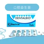 【代理商公司貨】共立製藥 DENTALBIO 口益適 犬貓100錠/盒 犬貓適用