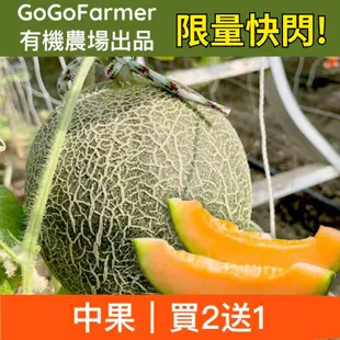 ▶限量快閃◀ 【GoGoFarmer】有機卡蜜拉網紋哈密瓜-中果買2顆送1顆(共4.5台斤)