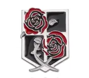 Attack on Titan Enamel Pin- Garrison Regiment - Free AU Post - AU Stock