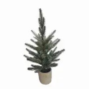 Pine Tree in Plastic Pot (Set of 2)