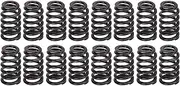 Brilluxa 16Pcs LS Engines Beehive Valve Spring Kit, PAC 1218 Racing Valve Springs Replacement for Camaro