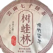 2010 Raw Pu-erh Tea Cake, Huazhu Liangzi Tree Frog Forest, 500g, from Yunnan
