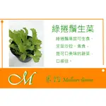 《MEILLEUR》綠捲鬚生菜10元 2克