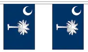 SOUTH CAROLINA U.S. STATE BUNTING 9 metres 30 flags Polyester flag
