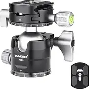 INNOREL G34 Low Profile Tripod Ball Head Double Panoramic CNC Metal Camera Tripod Ballhead with 1/4" Arca Swiss L Plate Bracket and Quick Release Plate for Tripods,Monopod,DSLR,Camcorder,Max Load 16kg