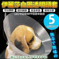 在飛比找Yahoo!奇摩拍賣優惠-【🐱🐶培菓寵物48H出貨🐰🐹】dyy》伊麗莎白圈透明頭套5號