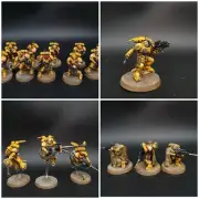 Warhammer 40k space marine Vanguard Task Force pro painted Imperial Firsts