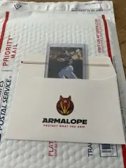 100 Armalope Envelopes for eBay Standard Shipping Fast Priority Ship Armalopes