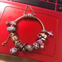 在飛比找蝦皮購物優惠-Pandora 潘朵拉 正品純銀手鏈 charms 皮繩