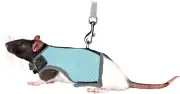 Harness for Guinea Pig and Rats (61511)